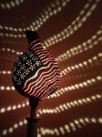 Picture of American Flag
