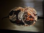 Picture of Sea Turtles